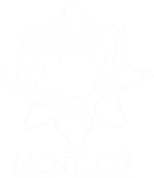 CENTLEC